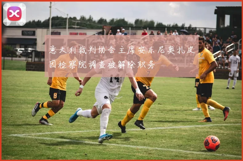 意大利裁判协会主席安东尼奥扎皮因检察院调查被解除职务
