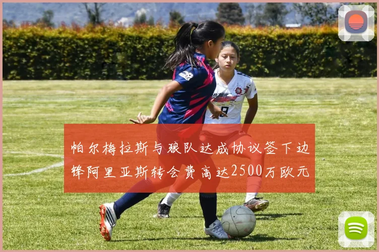 帕尔梅拉斯与狼队达成协议签下边锋阿里亚斯转会费高达2500万欧元